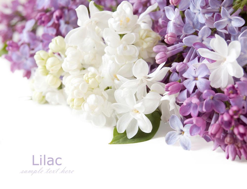 喜訊！2017七夕節(jié)的一份中標(biāo)通知書(shū)